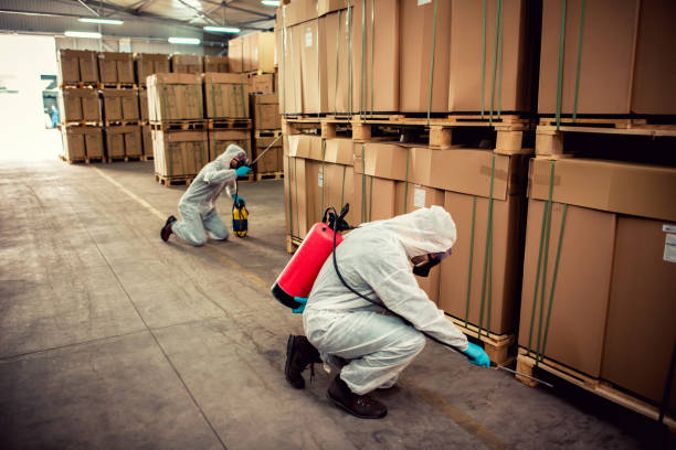 Best Pest Removal Services  in Pinckneyvle, IL