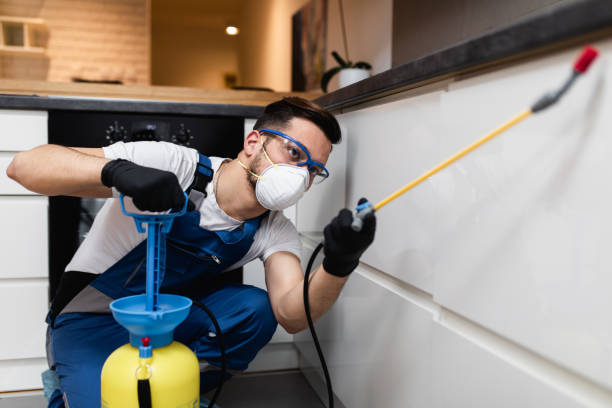 Best Wildlife Control Services  in Pinckneyvle, IL