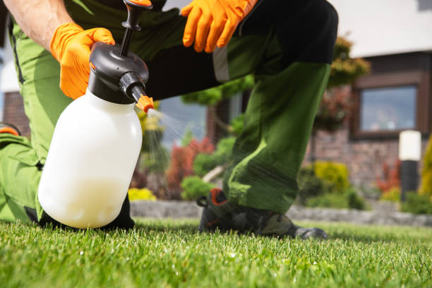 Best Local Pest Control Services  in Pinckneyvle, IL