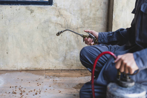 Best Affordable Pest Control Services  in Pinckneyvle, IL