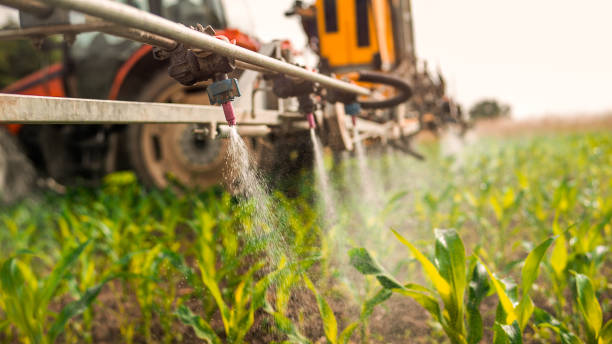 Reliable Pinckneyville, IL Pest Control Solutions